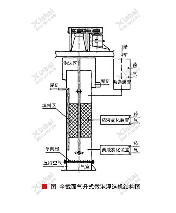 全截面氣升式微泡浮選機(jī)